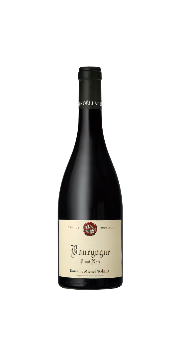 Michel Noëllat Bourgogne Pinot Noir 2020
